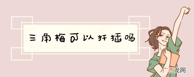 三角梅可以扦插吗