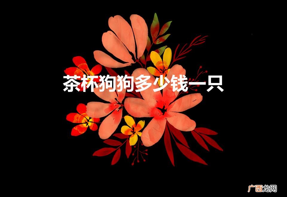 茶杯犬几块钱一只 茶杯狗狗多少钱一只