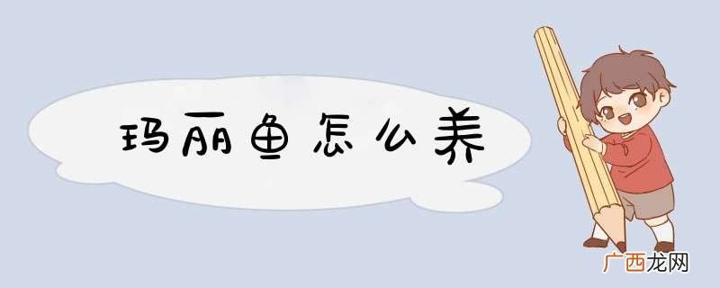玛丽鱼怎么养