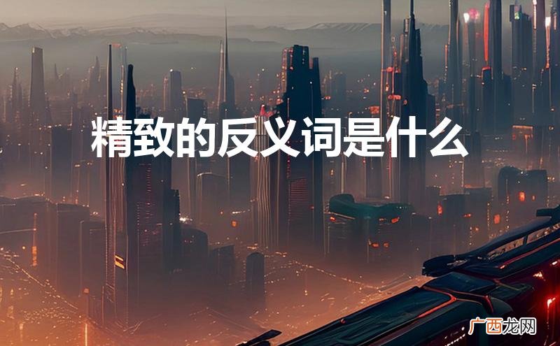 精致的反义词是什么词 精致的反义词是什么