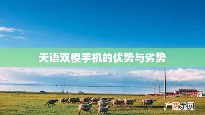 天语双模手机的优势与劣势