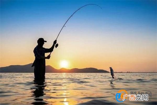 男子使用12钩串非法钓鱼被刑拘 钓鱼用串钩属于违法吗_酷知科普