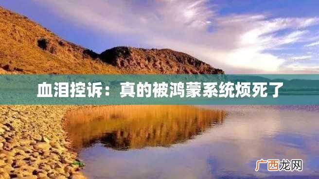 血泪控诉：真的被鸿蒙系统烦死了