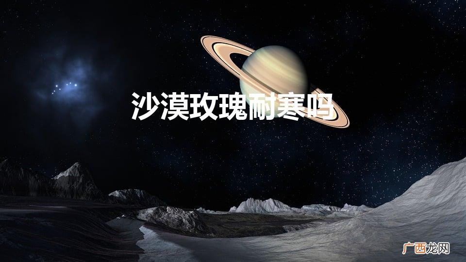 沙漠玫瑰怕冷吗 沙漠玫瑰耐寒吗