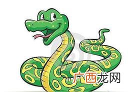 周公解梦男人梦见蛇是什么预兆