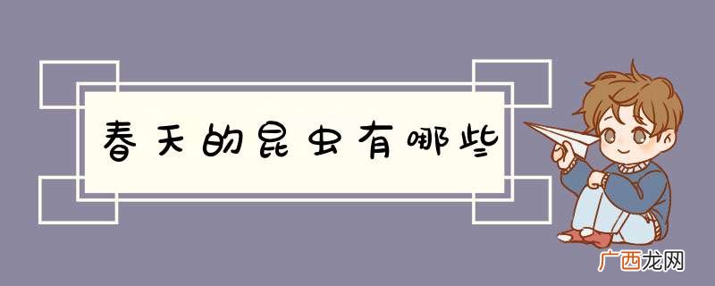 春天的昆虫有哪些