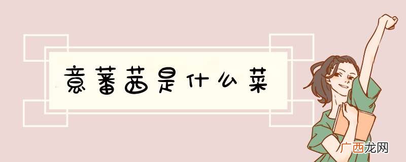 意蕃茜是什么菜
