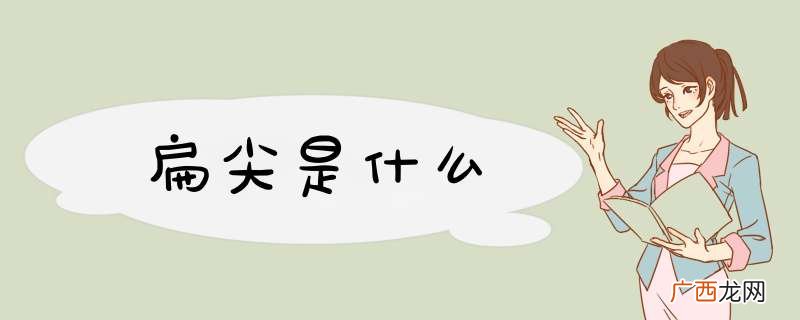 扁尖是什么