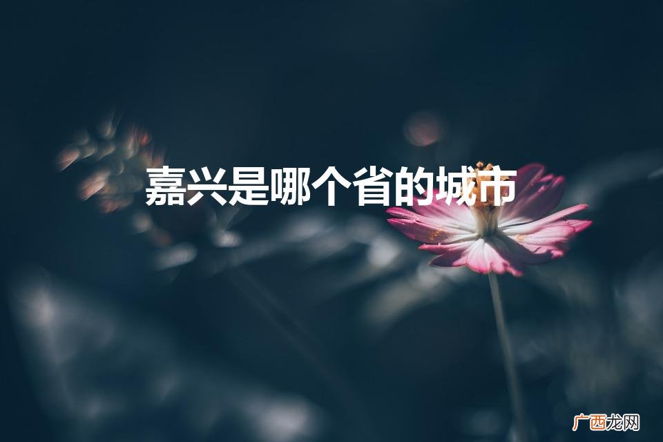 嘉兴是哪个省属于哪个市 嘉兴是哪个省的城市