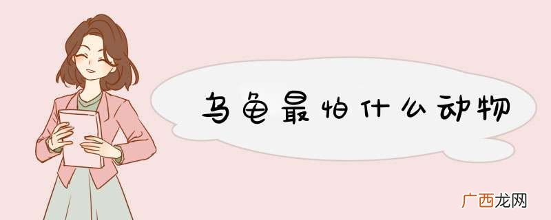 乌龟最怕什么动物