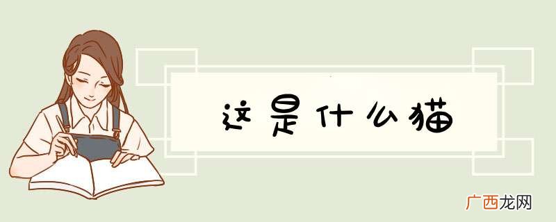 这是什么猫
