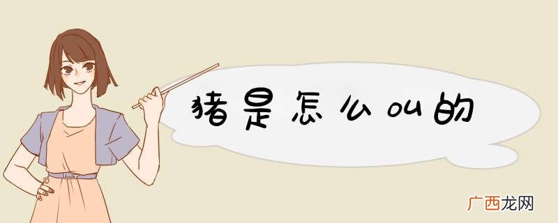 猪是怎么叫的