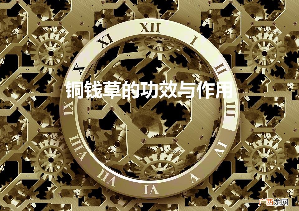 铜钱草的益处 铜钱草的功效与作用