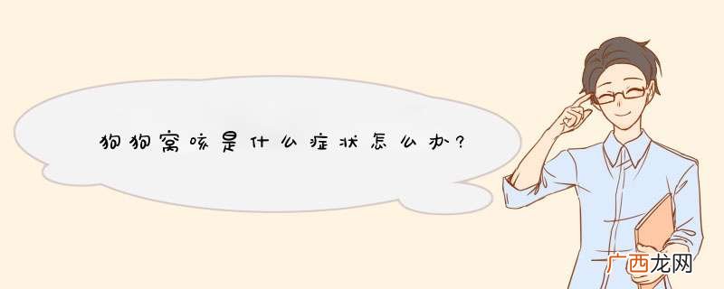 狗狗窝咳是什么症状怎么办?