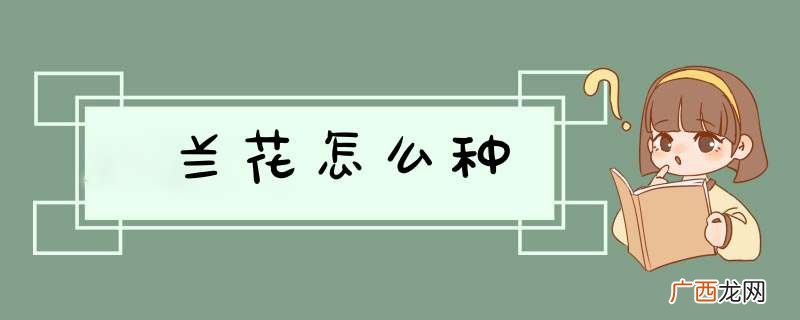 兰花怎么种