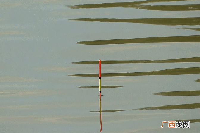 一年四季钓鲢鳙时机分析 钓鲢鳙几月份开口几月份停口