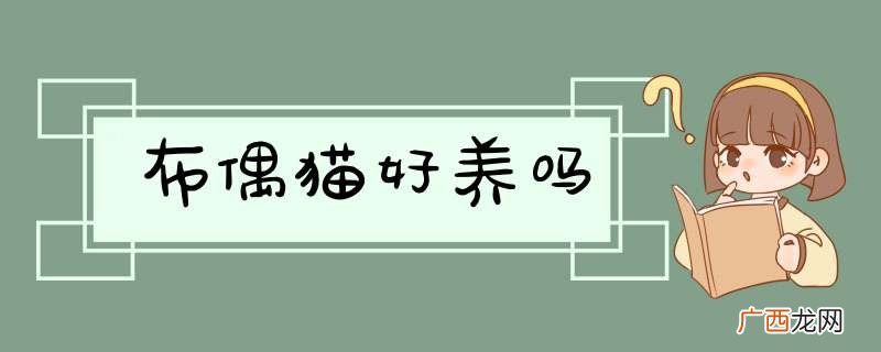 布偶猫好养吗
