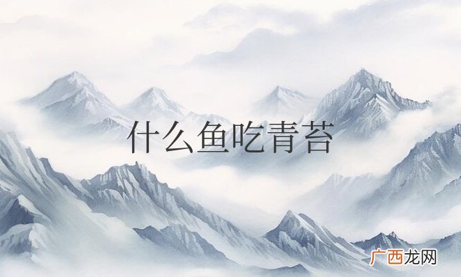 什么鱼吃青苔藻类最厉害