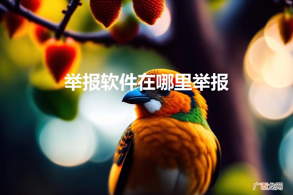 怎么举报软件 举报软件在哪里举报