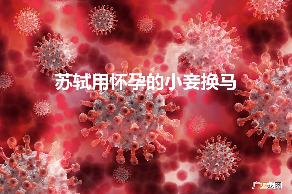 苏轼用怀孕的小妾换马(沁园春·咏乳)