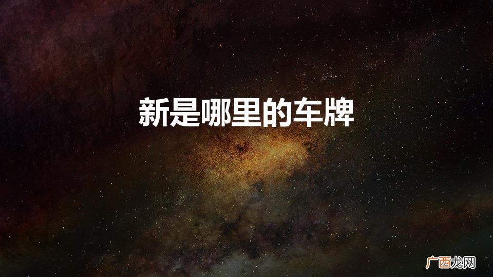 新牌是哪个地区 新是哪里的车牌