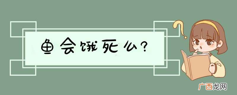 鱼会饿死么?