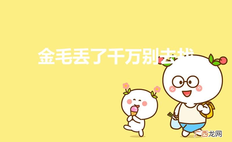 金毛丢了会自己回家吗 金毛丢了千万别去找