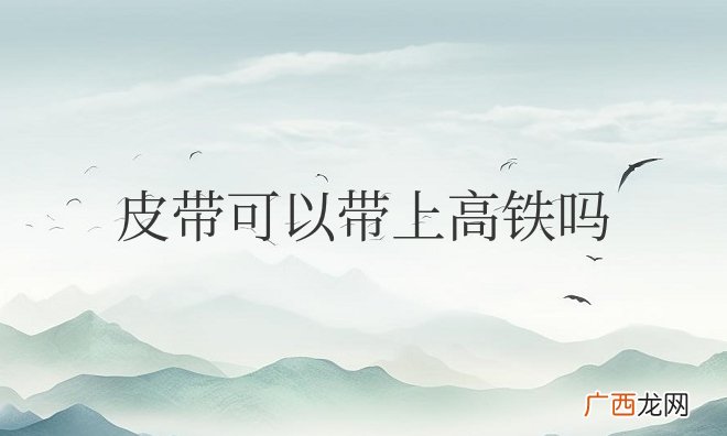 皮带可以带上高铁吗