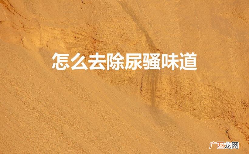 驱散尿骚气息 怎么去除尿骚味道