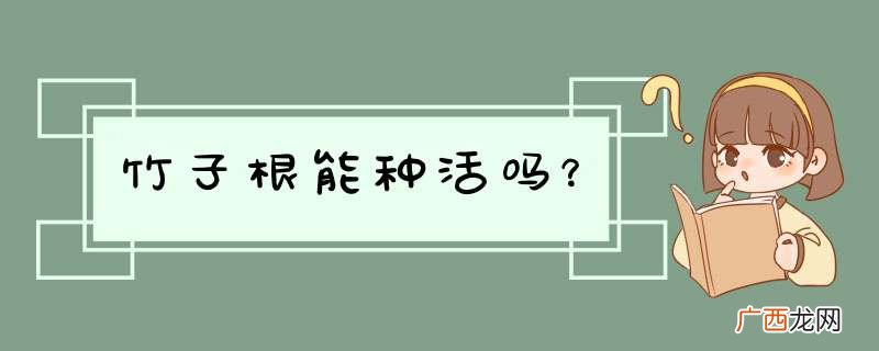 竹子根能种活吗？