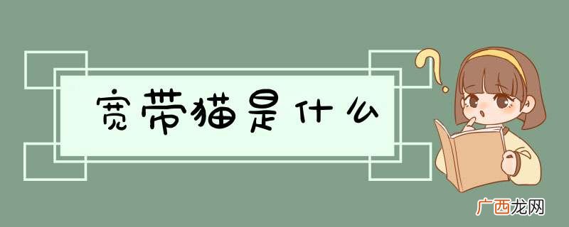 宽带猫是什么