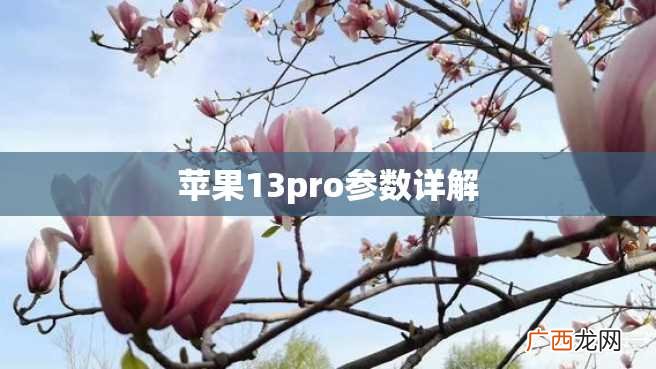 苹果13pro参数详解