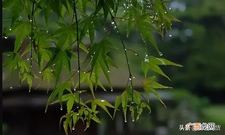 浙江梅雨季节持续的时间 浙江梅雨季节是哪个月份