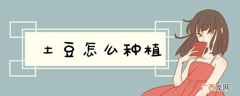 土豆怎么种植
