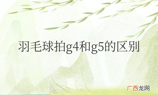 羽毛球拍g4和g5的区别大吗