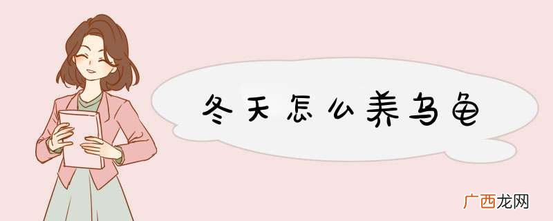 冬天怎么养乌龟