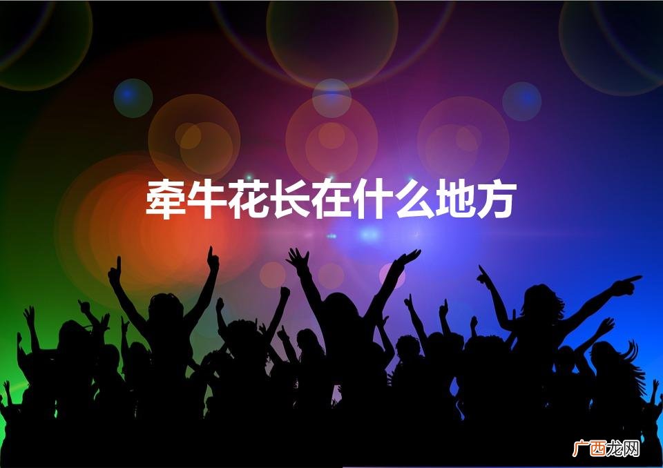 牵牛花喜欢长在什么地方 牵牛花长在什么地方