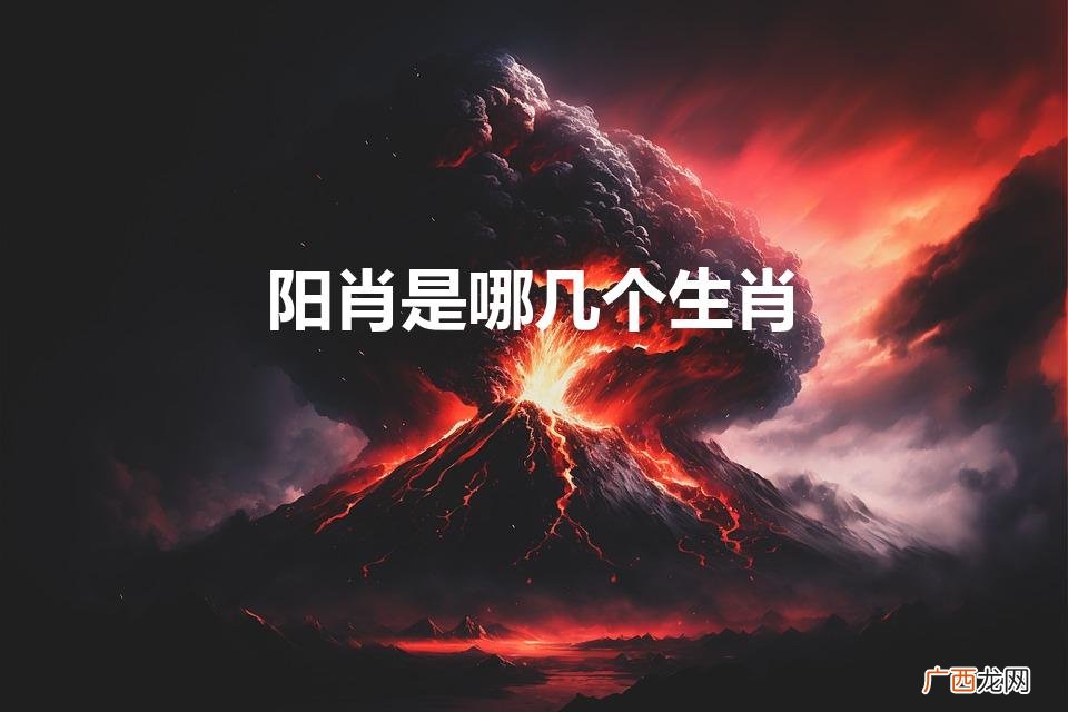 阳肖指的是哪生肖 阳肖是哪几个生肖
