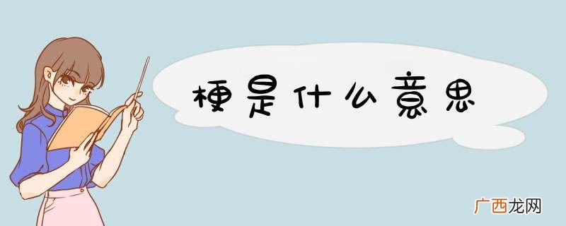 梗是什么意思