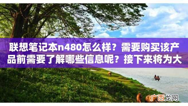 联想笔记本n480怎么样？需要购买该产品前需要了解哪些信息呢？接下来将为大家一一介绍。