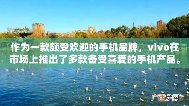 作为一款颇受欢迎的手机品牌，vivo在市场上推出了多款备受喜爱的手机产品。其中，vivo x7更是备受关注。下面我们来看看vivo x7的参数详情。
