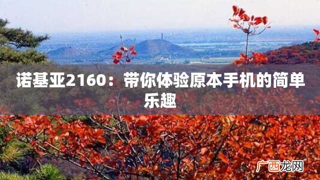诺基亚2160：带你体验原本手机的简单乐趣