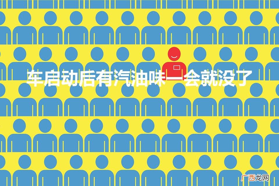 车启动后有汽油味一会就没了