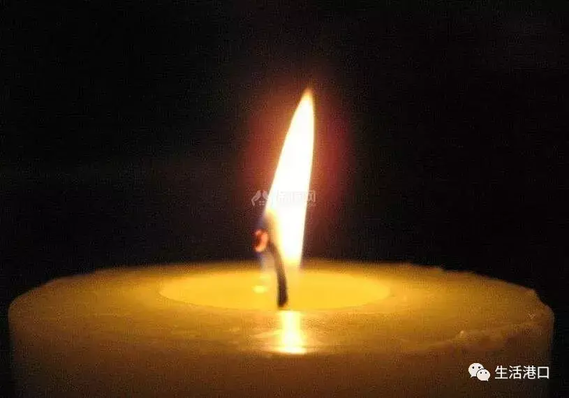 家里有飞蚁彻底消灭的窍门 如何消灭飞蚁最快方法