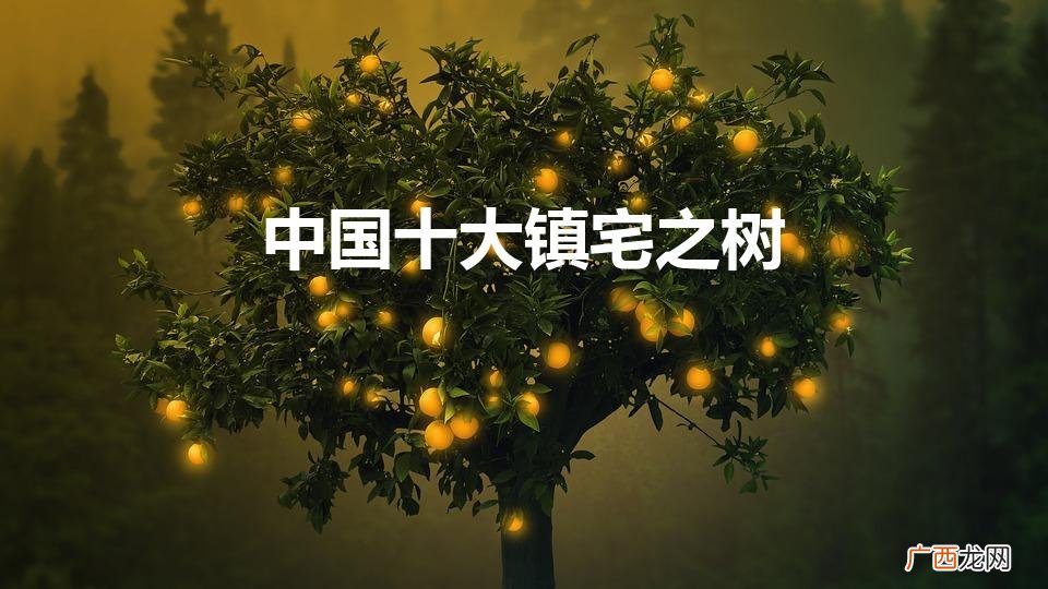 十大镇宅辟邪的植物有哪些 中国十大镇宅之树