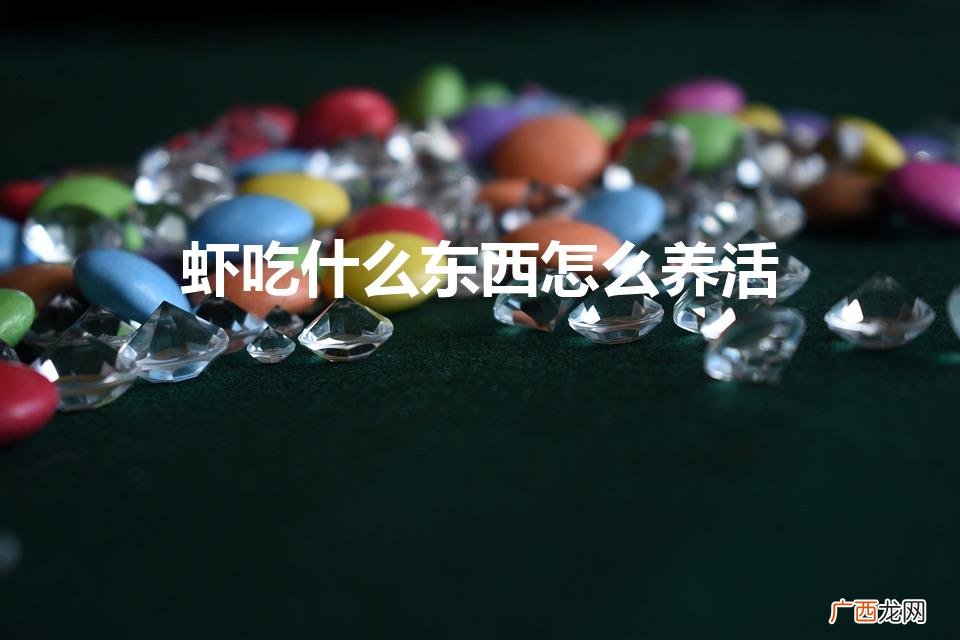 虾食物与养活 虾吃什么东西怎么养活