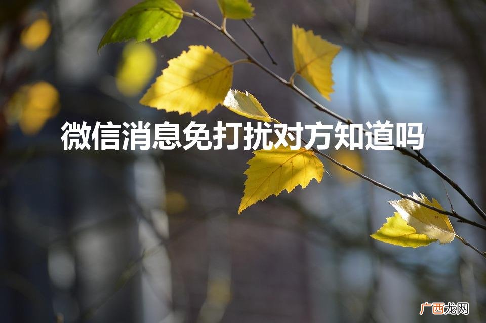 开启消息免打扰对方知道吗 微信消息免打扰对方知道吗