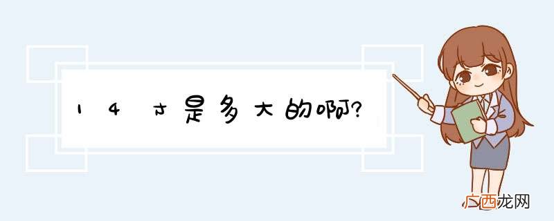 14寸是多大的啊?