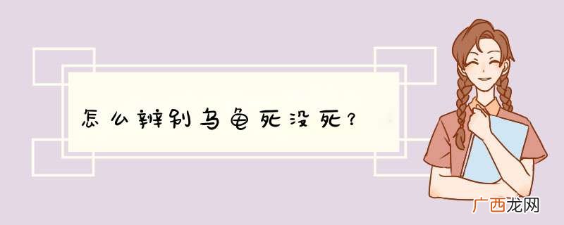 怎么辨别乌龟死没死？