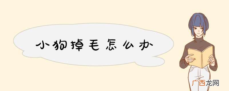 小狗掉毛怎么办